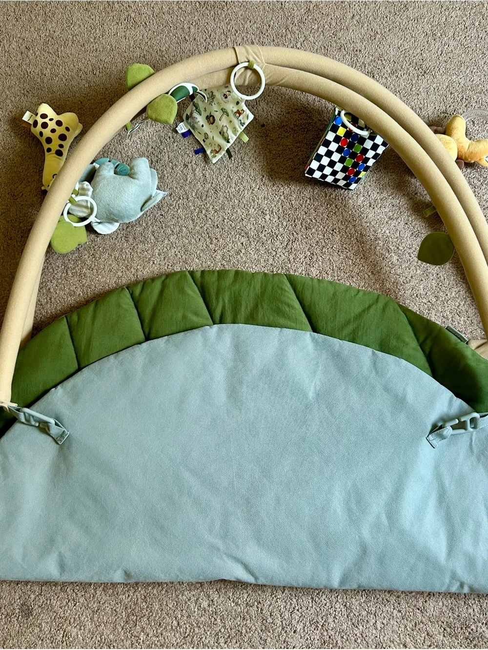Blissful Diary Baby Play Gym and Activity Mat - 6 Detachable Toys